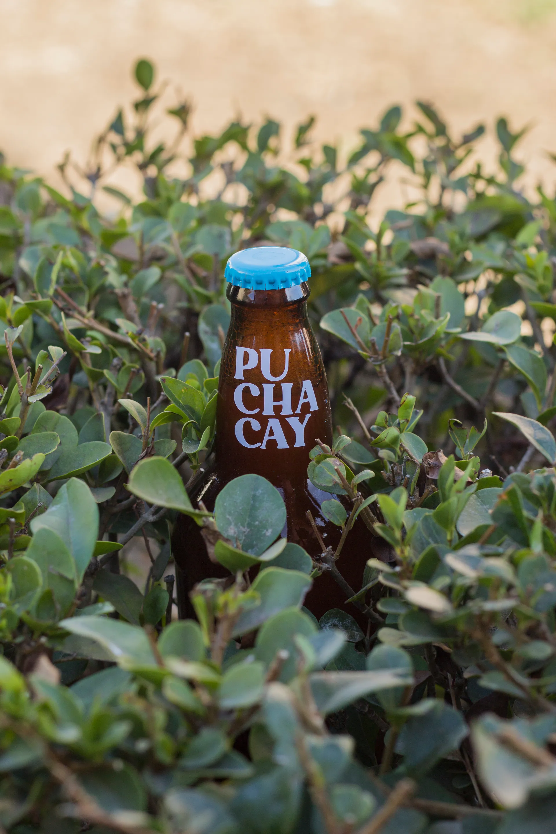 Cerveza Puchacay bottle
